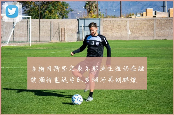 吉梅内斯坚定表示职业生涯仍在继续期待重返母队多瑙河再创辉煌